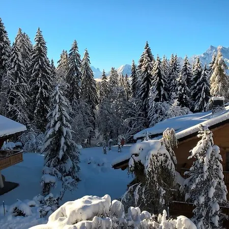 Chalet Baccarat Villars-sur-Ollon