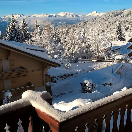 Chalet Baccarat Appartement *